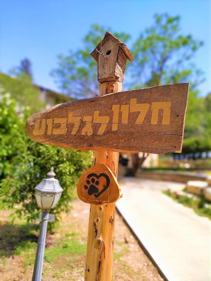 חלון לגלבוע צימר בוטיק בעמק המעיינות Bet Alfa Dış mekan fotoğraf