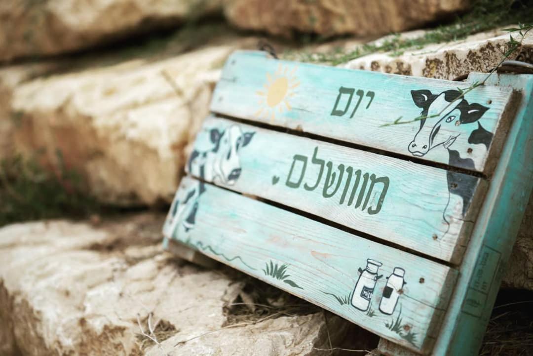 חלון לגלבוע צימר בוטיק בעמק המעיינות Bet Alfa Dış mekan fotoğraf